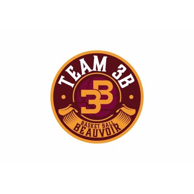 TEAM 3B